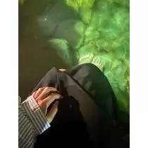 ことみ