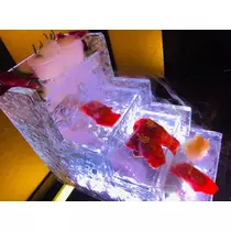 紗貴