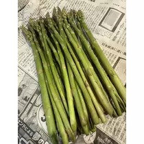 白石 愛莉