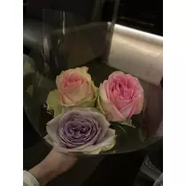 白石 愛莉