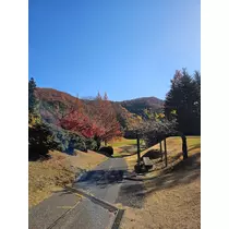 りか