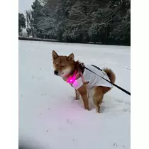 せら