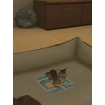 小鳥遊 もか