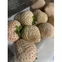 えれな♥えりぴ
