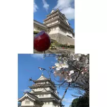 はづき