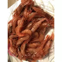 長瀬 純恋