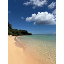 芹沢 莉瀬