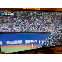 夏樹 あや
