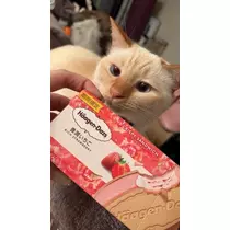 足立 はな