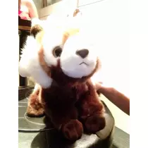 乱