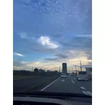 せいか