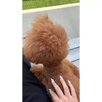 美好 もも