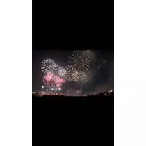 すみれ