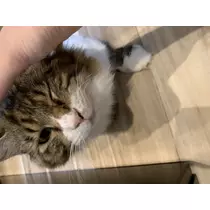 七瀬 ゆず