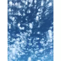 成海 まお