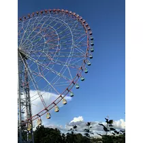 あみ