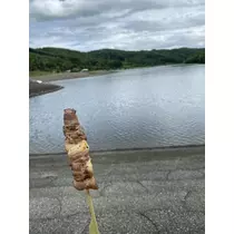 長瀬 純恋