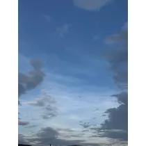 せいか