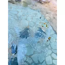 ゆかり