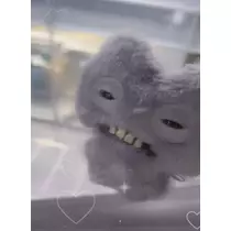 七星 夏純