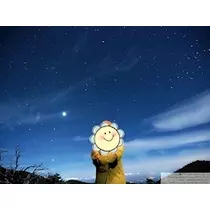 りか