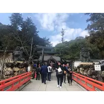 姫花