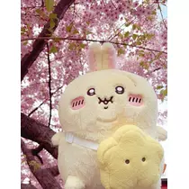 はるせ
