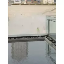 緑 四葉