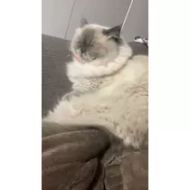 るい♡