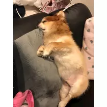 片桐 さやか