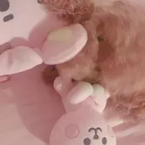 愛音 なぎさ