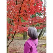 荒木 ナツミ