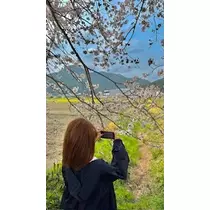 ゆかり