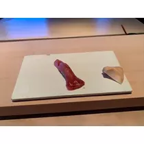 はな