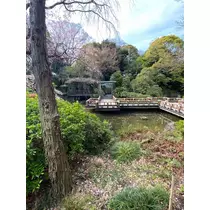 玲美