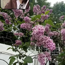 乙川 ゆあ