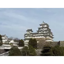 みみ