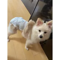 ことみ