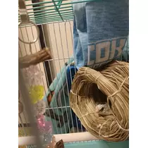 ちよママ