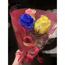 白石 愛莉