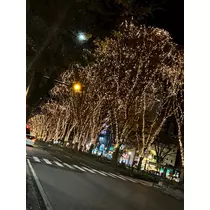 美穂