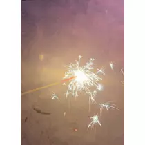 はな