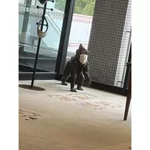 あこ
