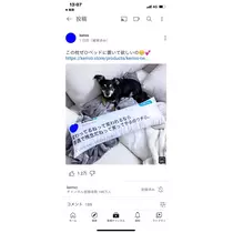 ☆かのん☆