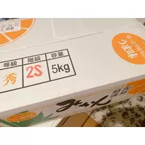 華宮 れい
