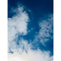 ゆかり