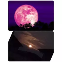 美穂