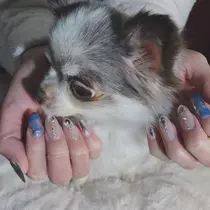 coco