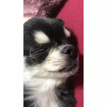 みあ