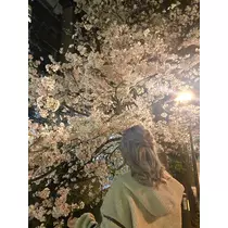 かいり